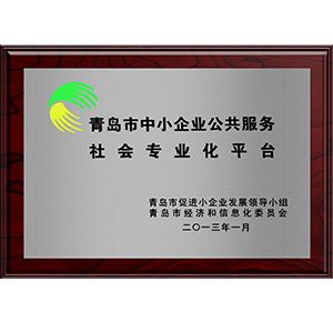 青島市中小企業(yè)公共服務(wù)社會(huì)專業(yè)化平臺(tái)